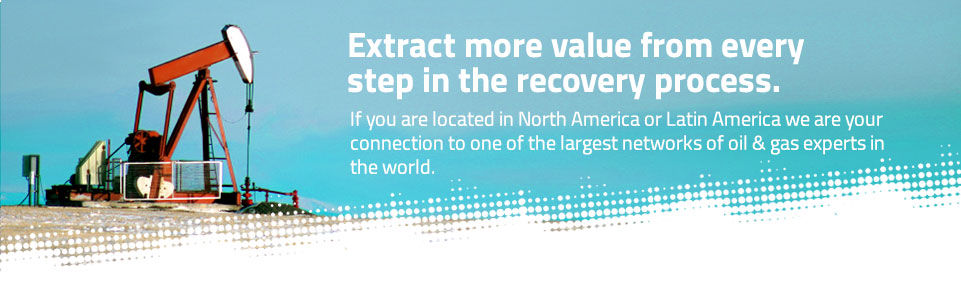 Our Expertise